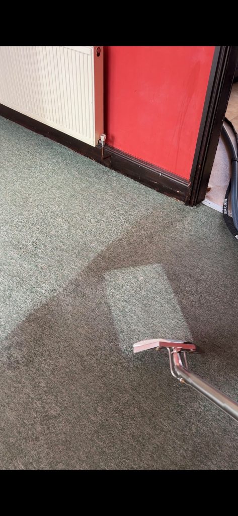 Comparison between cleaned section of a carpet and dirty a section of carpet.